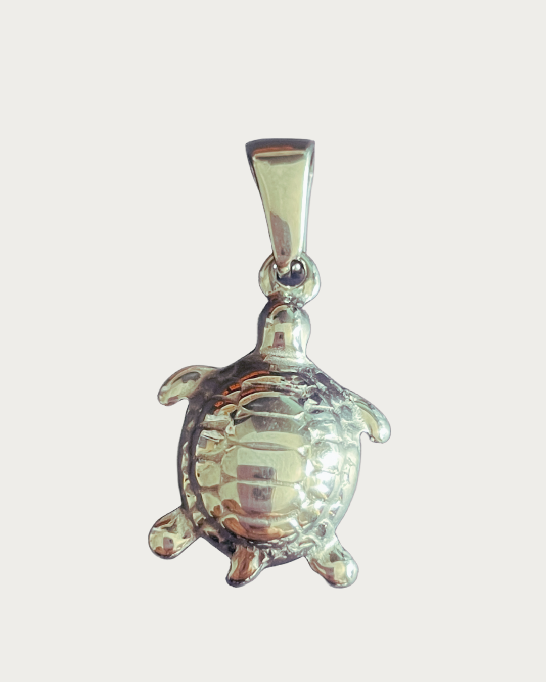 Silver Turtle Charm